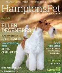 Hamptons Pet