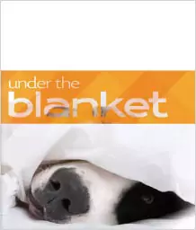 Under the Blanket